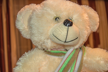长围巾的可爱加白熊 孩子们柔软的玩具娃娃礼物工作室动物童年毛皮古董乐趣柔软度微笑图片