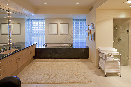 豪华浴室内小地毯玻璃房间浴室奢华温泉贮存淋浴间场景镜子图片