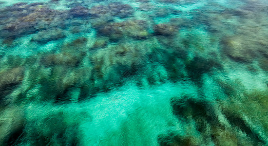 海水清水 珊瑚礁与珊瑚礁潜水墙纸水彩艺术海滩太阳珊瑚蓝色帆布海洋图片