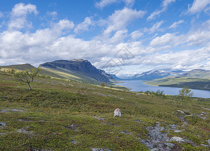拉普兰风景美丽 河流为Lulealven 雪盖山 白树和瑞典野生生物以北Saltoluokta附近的Kungsleden徒步小径图片