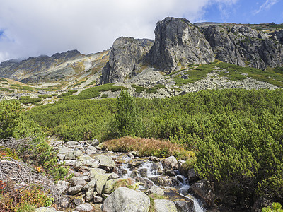 人行道上的野河溪流 美丽的大自然 松树和岩石山峰 高塔特拉山 斯洛伐克 夏末阳光明媚的日子 蓝天背景图片