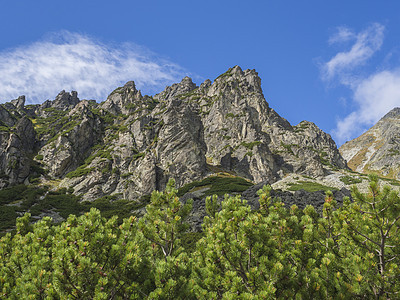 美丽的尖尖山峰有松树 斯洛伐克塔特拉斯高山 夏末阳光明日 蓝天空背景天空远足岩石森林背包享受农村公园蓝色丘陵图片