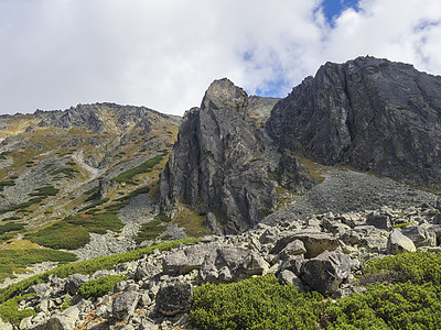 美丽的尖尖山峰有松树 斯洛伐克塔特拉斯高山 夏末阳光明日 蓝天空背景小路云杉丘陵天空石头自然远足享受踪迹公园图片