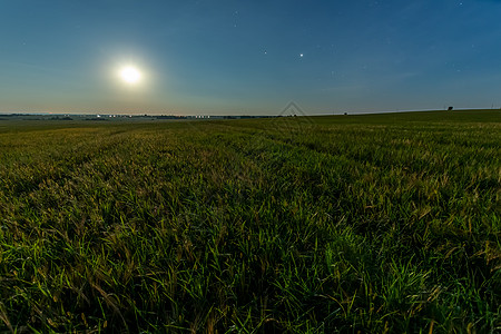 月亮和星星在夏日青绿小麦的田野上草地国家地球天文学领域大麦玉米土地农田场地图片
