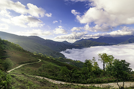 越南西北部老蔡省萨帕山Sapa 水田田梯田道路土地天气阳光山谷天空山顶草地森林地球图片