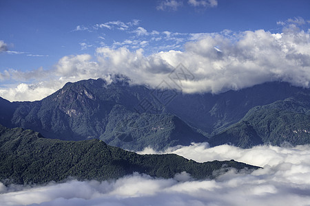 雁南飞茶田风景越南西北部老蔡省萨帕山Sapa 水田田梯田迷雾森林山顶地球高地雾天植物山谷草地天气背景