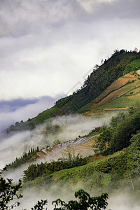 云层中的山区景象 老蔡省Sapa 越南越战西北部VadoCai 越南南图片