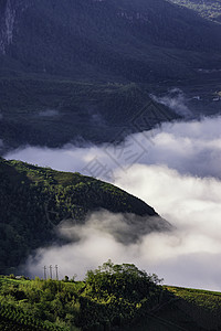 云层中的山区景象 老蔡省Sapa 越南西北地区TVNam天空地球山谷道路旅行森林迷雾雾天草地高地图片