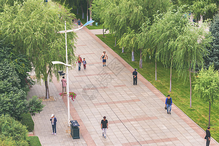 一条行人街道的视图城市树木行人人群绿色公园背景图片