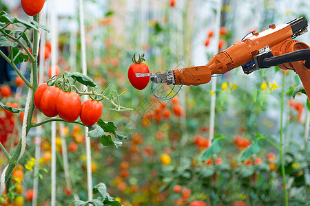 农业未来机器人自动化中的智能机器人农民工人农场检测科学收成环境杂草生长控制商业图片