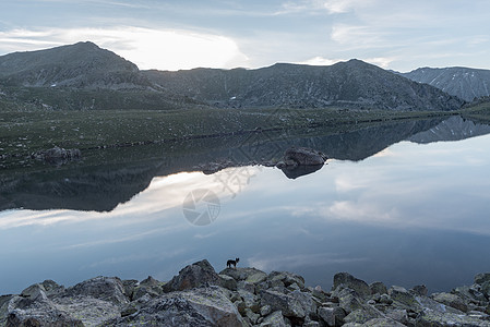 夏季在安道尔蒙马卢斯湖景观山脉季节蓝色侵蚀冰川树木环境绿地液体马戏团图片