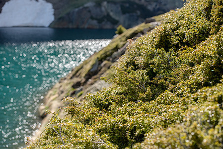 美丽的克雷奥尔湖 在英尔斯山谷的山避难所旅行马戏团季节远足喹啉生态池塘扎营森林阳光图片