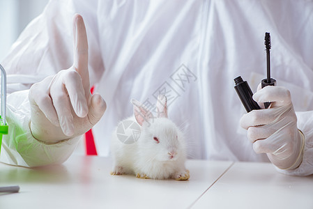 科学实验室实验中的白兔试验图片