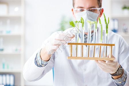 在植物实验室工作的男性生物化学家制药配种学生药店显微镜检查技术微生物学叶子教育图片