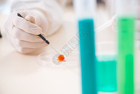 在实验室工作的男化学家胶囊制药物质技术化学研究员玻璃器皿生物学实验图片