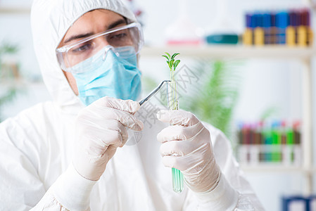 在植物实验室工作的男性生物化学家技术镊子显微镜实验检查药理医生测试生物学研究员图片