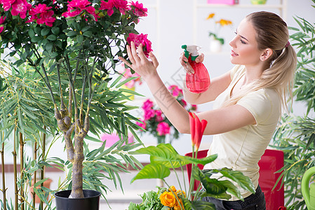 女青年在她的花园里浇水玫瑰植物女性闲暇兰花植物学女士修剪工作园艺图片