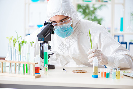 在植物实验室工作的男性生物化学家生物学管子幼苗显微镜药店药品科学学习男人学生图片