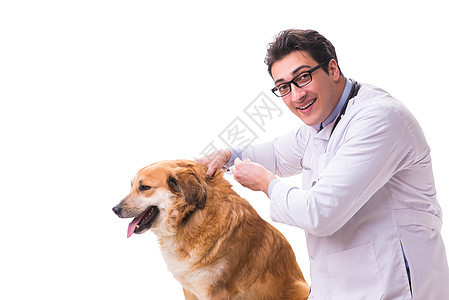 检查白被隔离的金色猎犬的韦特医生病人疾病宠物金子诊所治疗动物免疫疫苗男人图片
