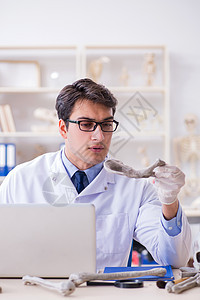 在实验室研究人体骨架的教授古生物学家人类学人工制品研究员颅骨科学家检查历史性骨骼大学图片