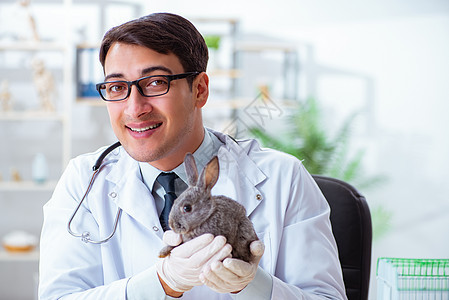 在其诊所检查兔子的韦特医生考试专家保健药物野兔男人药品治疗兽医微笑图片