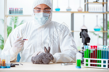 在其诊所检查兔子的韦特医生药品疫苗治疗兽医宠物男人卫生考试保健桌子图片