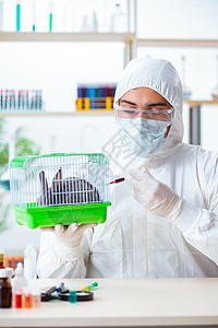 科学家对动物兔子进行试验药店安全测试微生物学权利疫苗治疗卫生注射男人图片