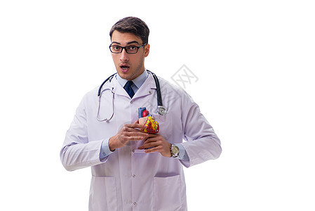 年轻医生 心脏形状与白皮肤隔离的年轻医生从业者诊所医师心电图病人心血管保健脉冲学生考试图片