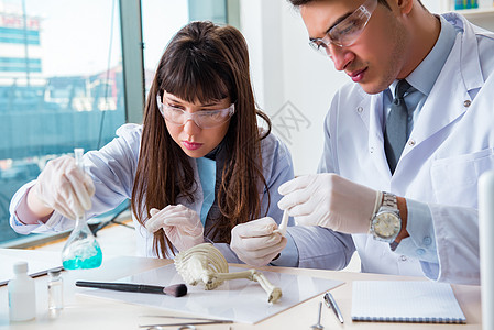 研究灭绝动物骨骼的古生物学家化石女士椎骨探险家遗迹同事学习人类学液体地质学家图片