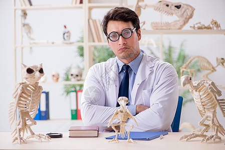 研究动物骨骼的有趣疯狂教授实验室秃鹰历史性检查考古学研究员教育古生物学探险家化石图片