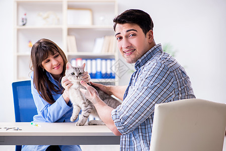 兽医诊所正在检查的猫医院护士实验室宠物治疗小猫职业考试医生药品图片