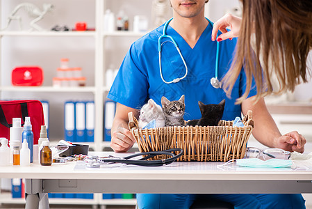 在动物医院对小猫进行检查的兽医专家男性医生猫咪疾病助手从业者篮子实验室药品图片