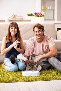 家里小猫咪在家玩的年轻家庭猫科动物妻子幸福朋友地毯休息小猫动物孩子友谊图片