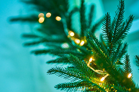 新年的节庆绿树 装饰着园地和辣椒假期卡片玩具花环火花装饰品庆典礼物风格云杉图片