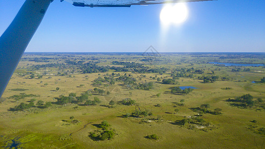 非洲博茨瓦纳莫雷米国家公园的空中景象 从一架小飞机上可以看到 蓝天有翼可见 明亮的阳光空气翅膀旅游旅行航班蓝色绿色天空天线角度图片