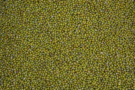 绿豆 绿豆或明豆背景图片