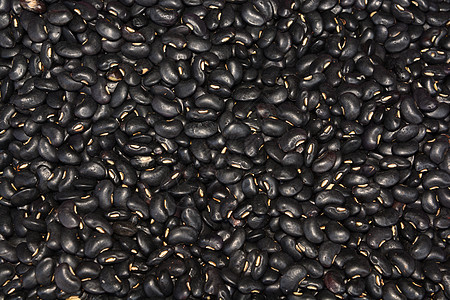 黑豆生产宏观粮食蔬菜营养工作室饮食种子厨房食物图片