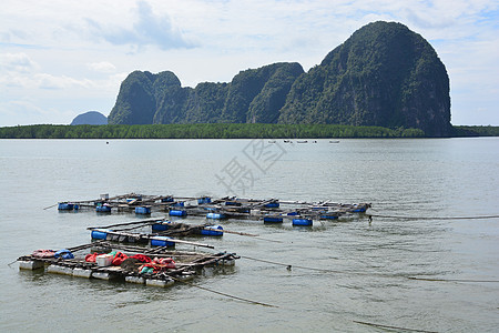 养鱼 海中鱼笼钓鱼环境配种生长养殖水产天空海岸海鲜农业图片