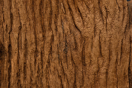 老木背景纹理墙纸地面木材粮食桌子控制板硬木建造松树家具图片