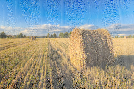 秋天的秋季赛季上场打猎天空干草蓝色收获农场土地食物小麦圆圈稻草图片