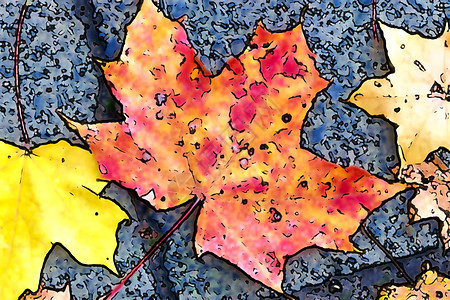 为背景绘制多彩秋叶的漫画风格 o林地地面橙子叶子植物艺术品季节草图团体墙纸图片