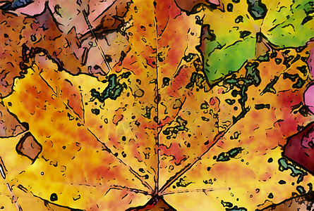 为背景绘制多彩秋叶的漫画风格 o季节植物团体树叶森林叶子地面艺术品林地草图图片