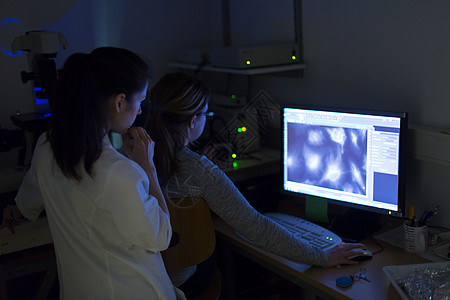 生命科学研究员在基因科学实验室进行显微镜观察知识保健进步微生物大学照片医院卫生科学家学习图片