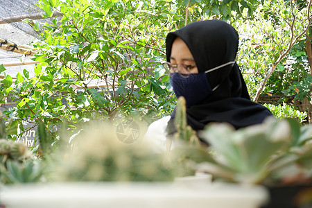 妇女在园中女性植物学植物女士花园爱好植物群检查职业园丁图片