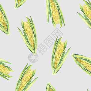 玉米棒子与叶子在灰色背景上的无缝模式 生态蔬菜植物 店铺设计 健康生活方式 包装 纺织品 手绘水彩插图 植物写实艺术图片
