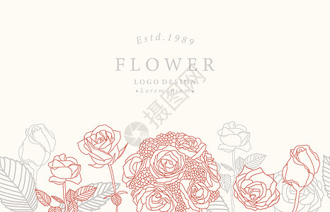 用玫瑰收集花背景的花本 可用矢量 i框架问候语叶子婚礼海报邀请函插图草图植物刷子图片