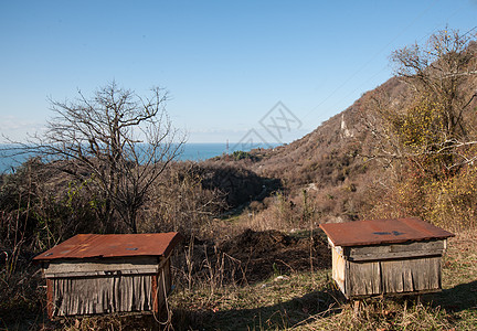 高加索山区地貌图景花蜜农业植物蜂蜜盒子养蜂业场地农场花粉蜂巢图片