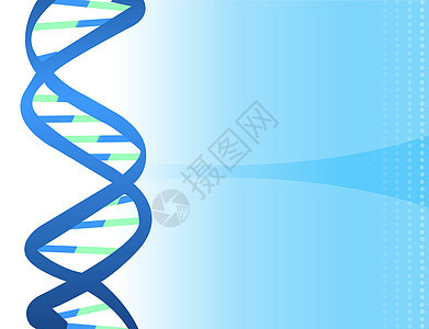 A 背景的DNA线索图片