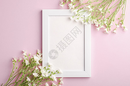 白空照片框 用鼠梨鸡毛花模拟问候相框长方形老鼠框架耳朵镜框婚礼植物繁缕图片