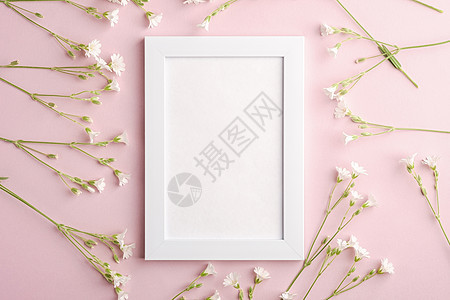白空照片框 用鼠梨鸡毛花模拟老鼠问候繁缕植物花朵卡片邀请函小样问候语长方形图片